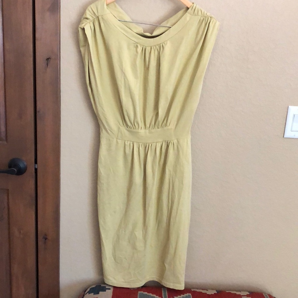 Synergy Organic Clothing Dress